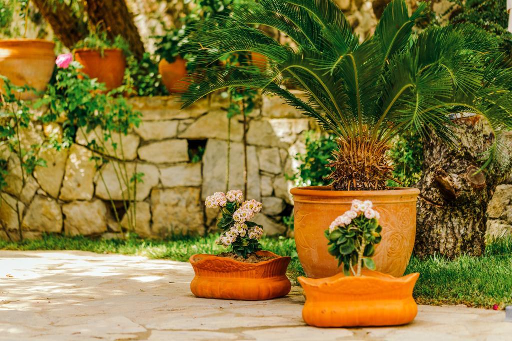 Cunda Esen Hotel Ayvalı エクステリア 写真
